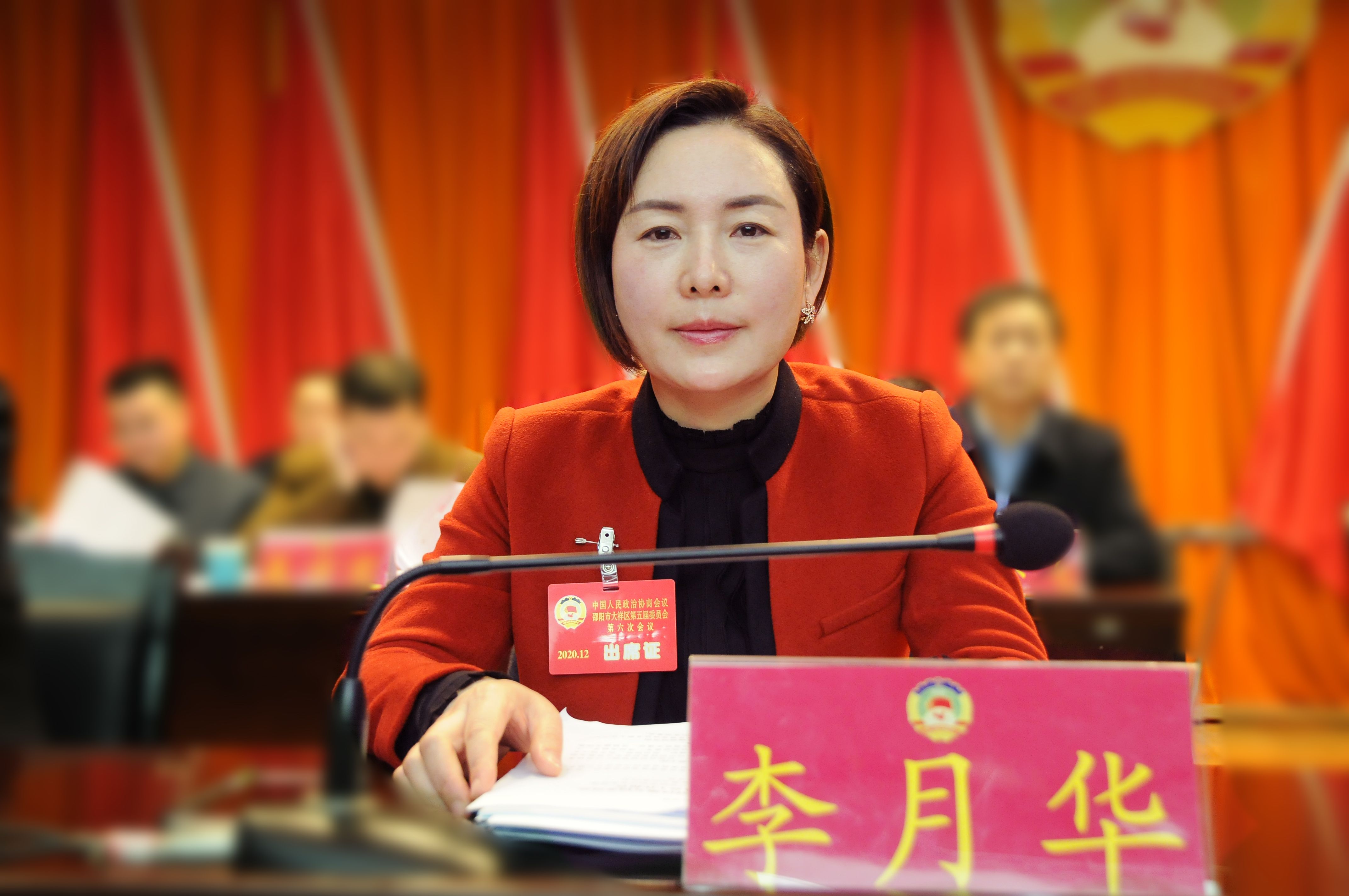 大祥区政协五届六次会议胜利闭幕蔡治军当选为区政协五届委员会主席(图8)